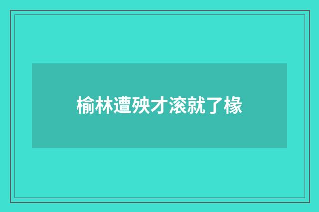 榆林遭殃才滚就了椽
