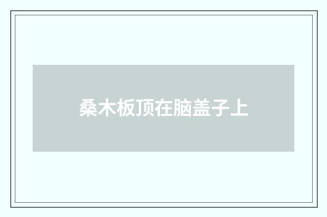 桑木板顶在脑盖子上