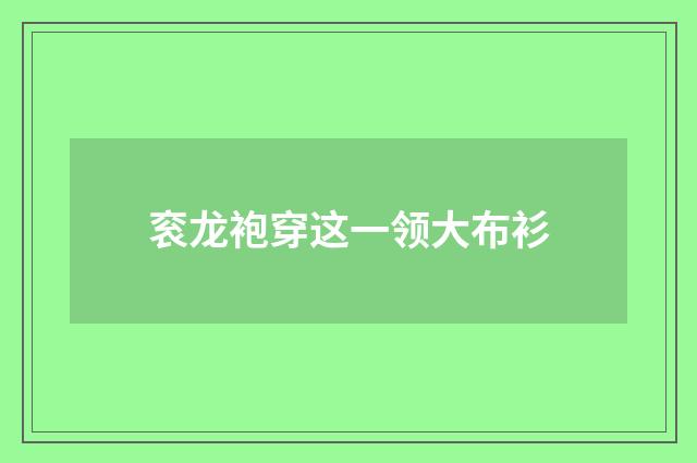 衮龙袍穿这一领大布衫