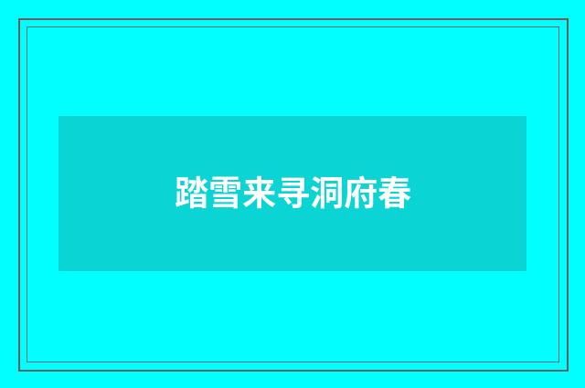 踏雪来寻洞府春