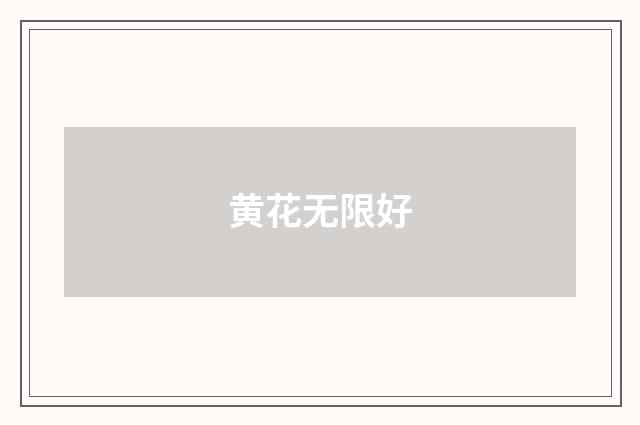 黄花无限好