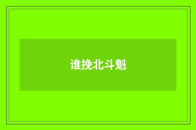谁挽北斗魁