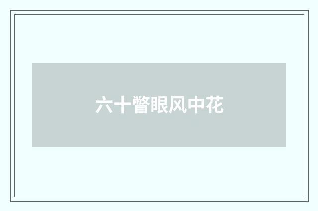 六十瞥眼风中花