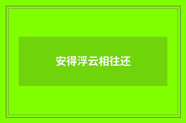 安得浮云相往还
