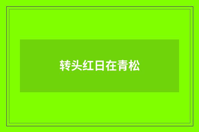 转头红日在青松