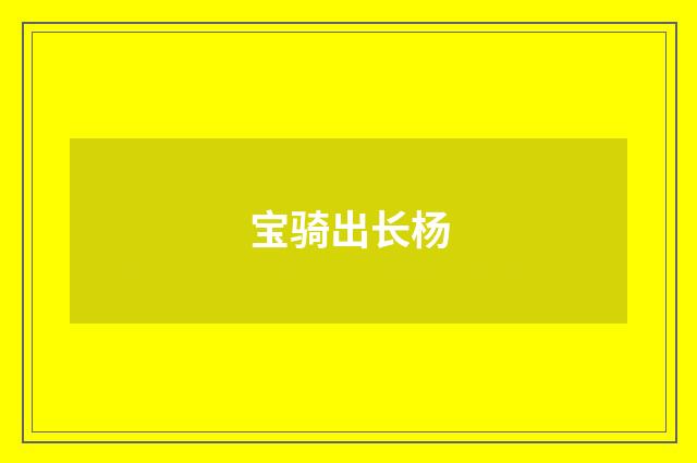 宝骑出长杨