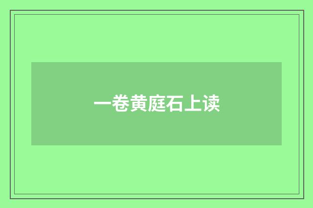 一卷黄庭石上读