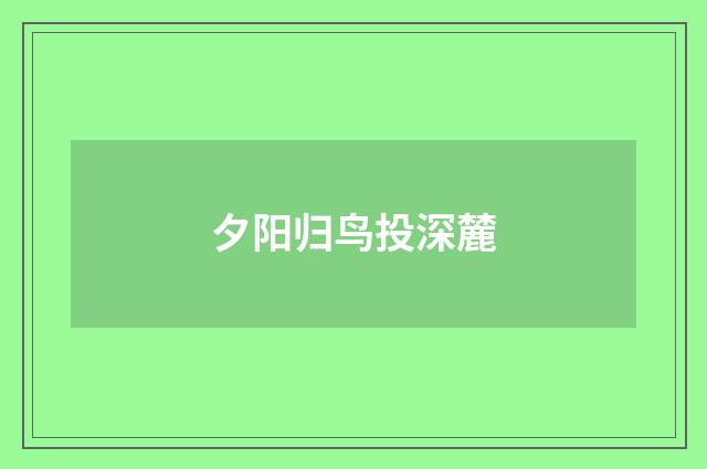 夕阳归鸟投深麓