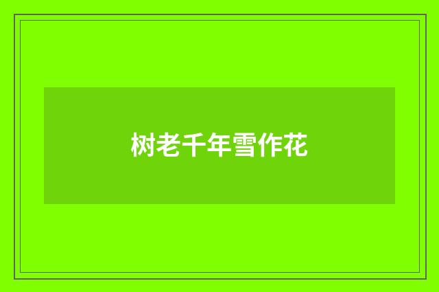 树老千年雪作花