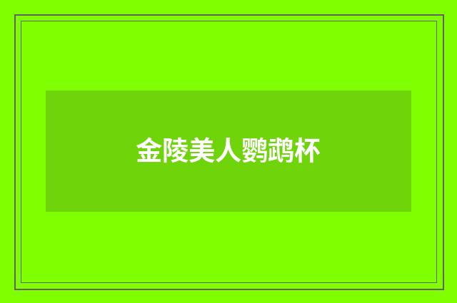 金陵美人鹦鹉杯