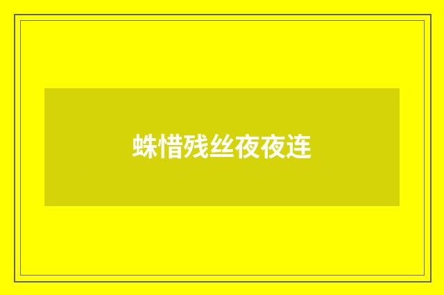 蛛惜残丝夜夜连