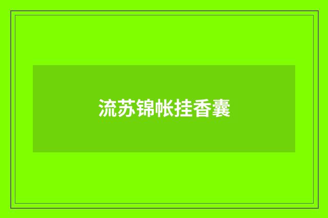 流苏锦帐挂香囊