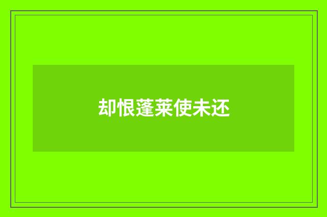 却恨蓬莱使未还