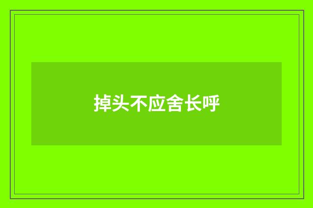 掉头不应舍长呼