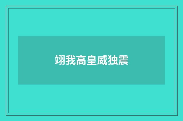 翊我高皇威独震