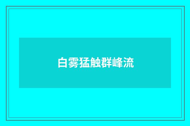 白雾猛触群峰流
