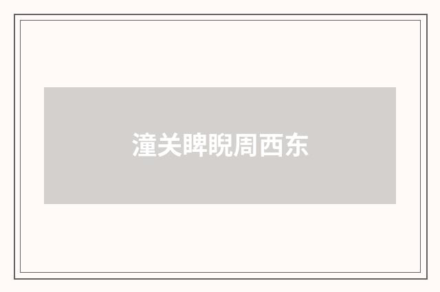 潼关睥睨周西东