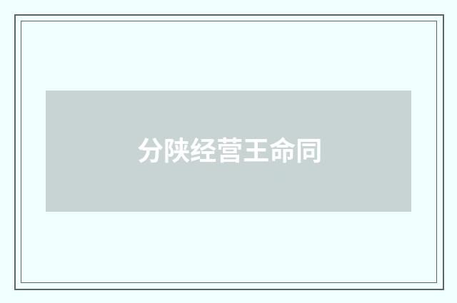 分陕经营王命同