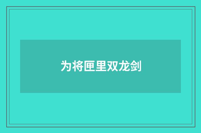 为将匣里双龙剑
