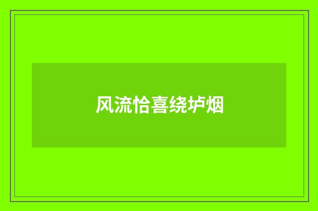 风流恰喜绕垆烟
