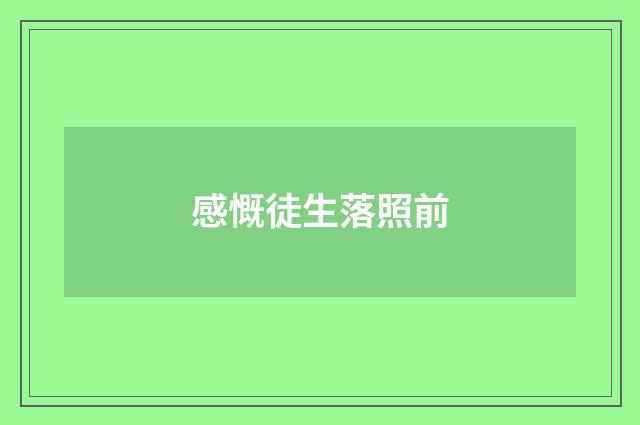 感慨徒生落照前