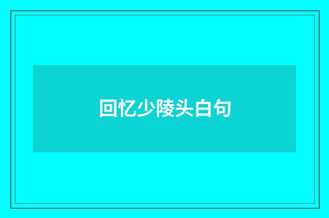 回忆少陵头白句