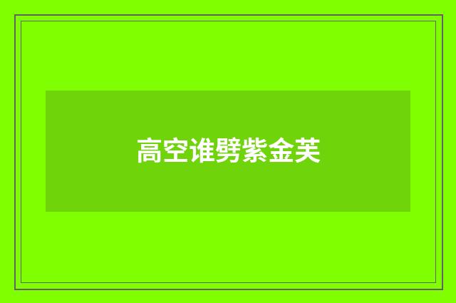 高空谁劈紫金芙