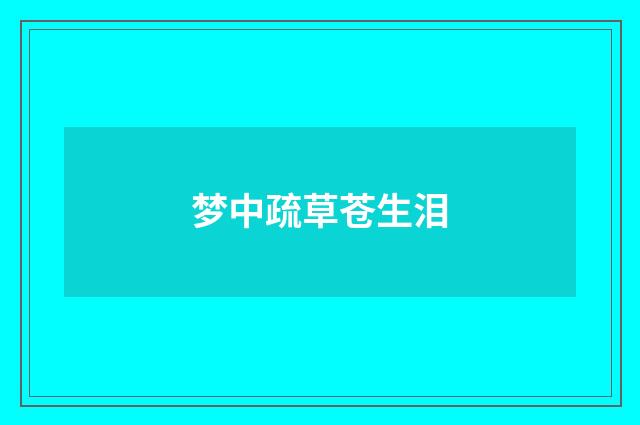 梦中疏草苍生泪