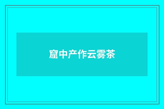 窟中产作云雾茶