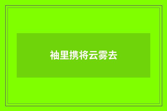 袖里携将云雾去