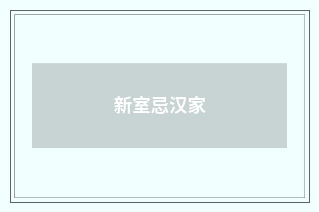 新室忌汉家