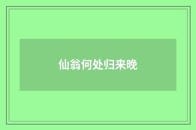 仙翁何处归来晚