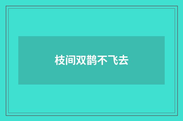 枝间双鹊不飞去