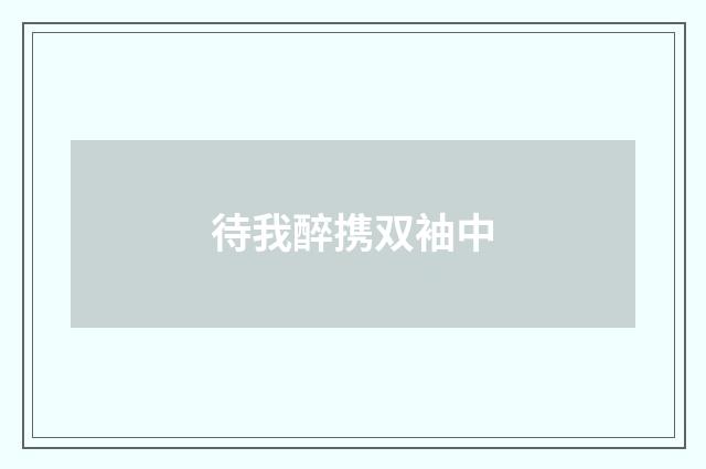 待我醉携双袖中
