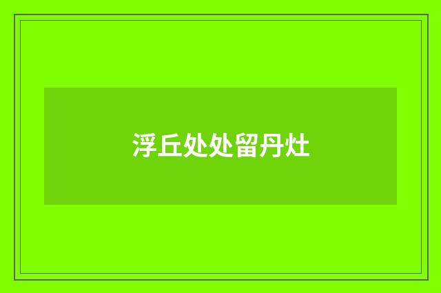 浮丘处处留丹灶