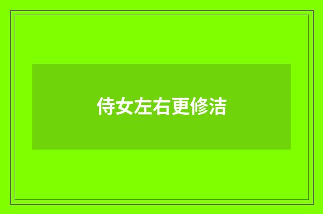 侍女左右更修洁