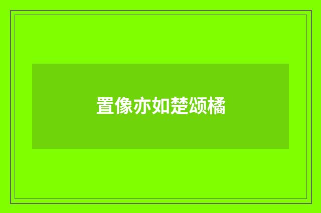 置像亦如楚颂橘