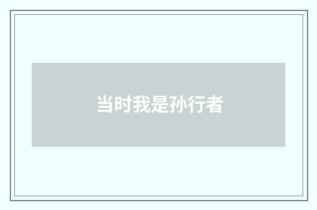 当时我是孙行者