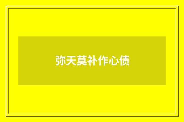 弥天莫补作心债