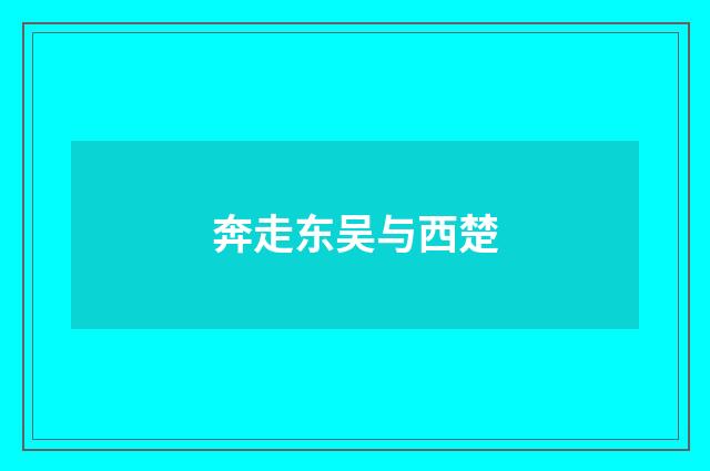 奔走东吴与西楚