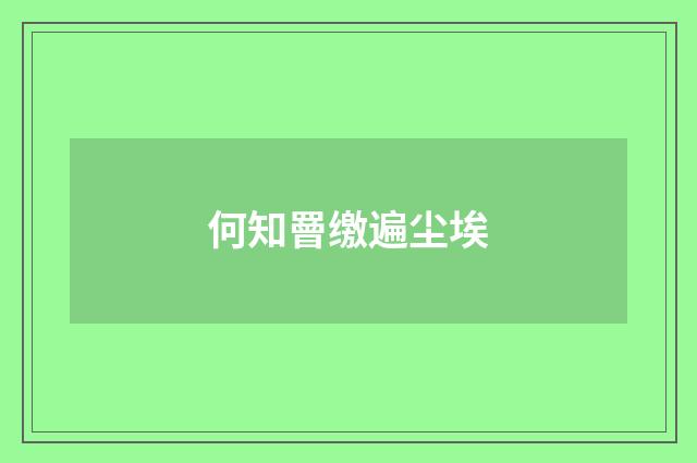 何知罾缴遍尘埃