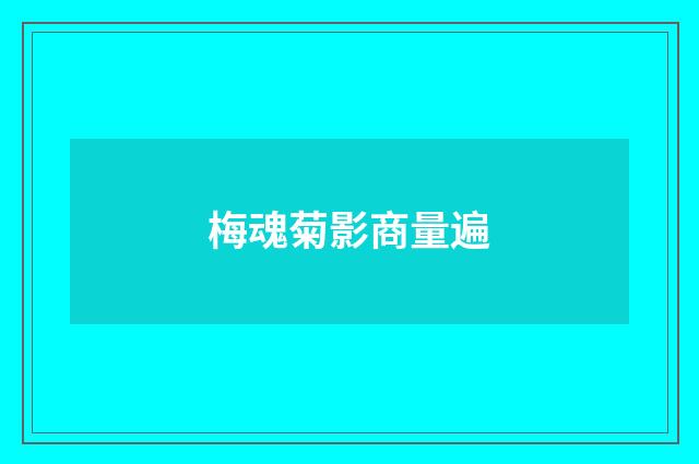 梅魂菊影商量遍