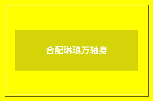 合配琳琅万轴身