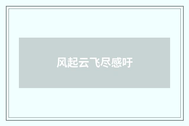 风起云飞尽感吁