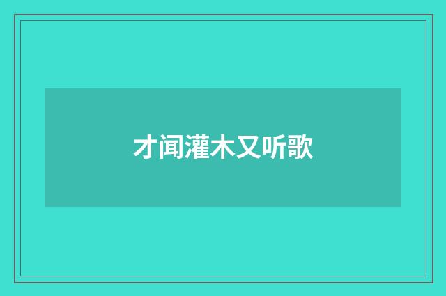 才闻灌木又听歌