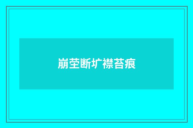 崩茔断圹襟苔痕