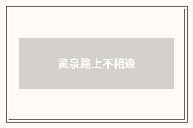黄泉路上不相逢