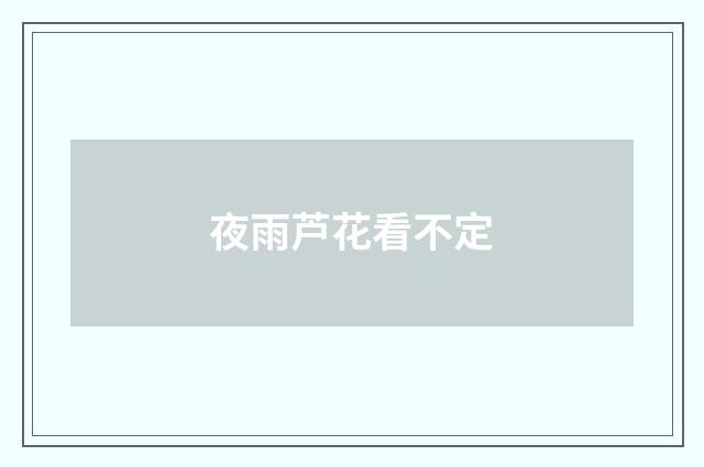 夜雨芦花看不定
