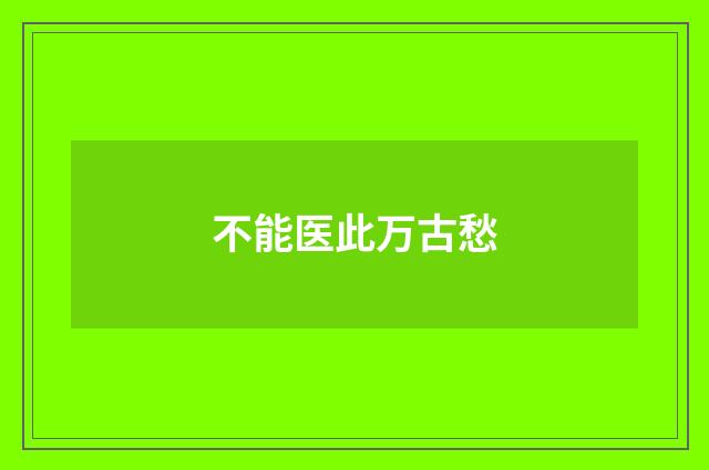 不能医此万古愁