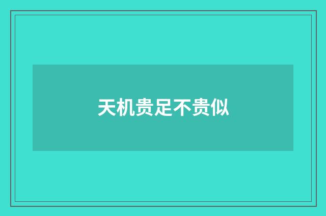 天机贵足不贵似